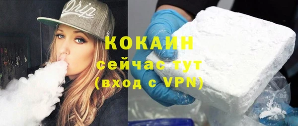 трава Аркадак