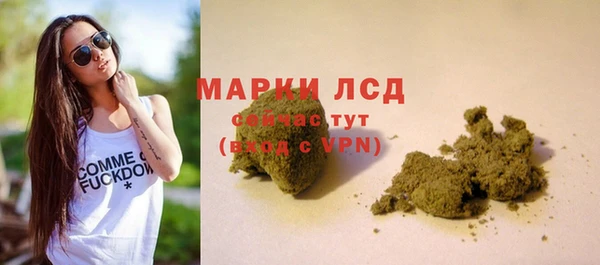 ECSTASY Алзамай